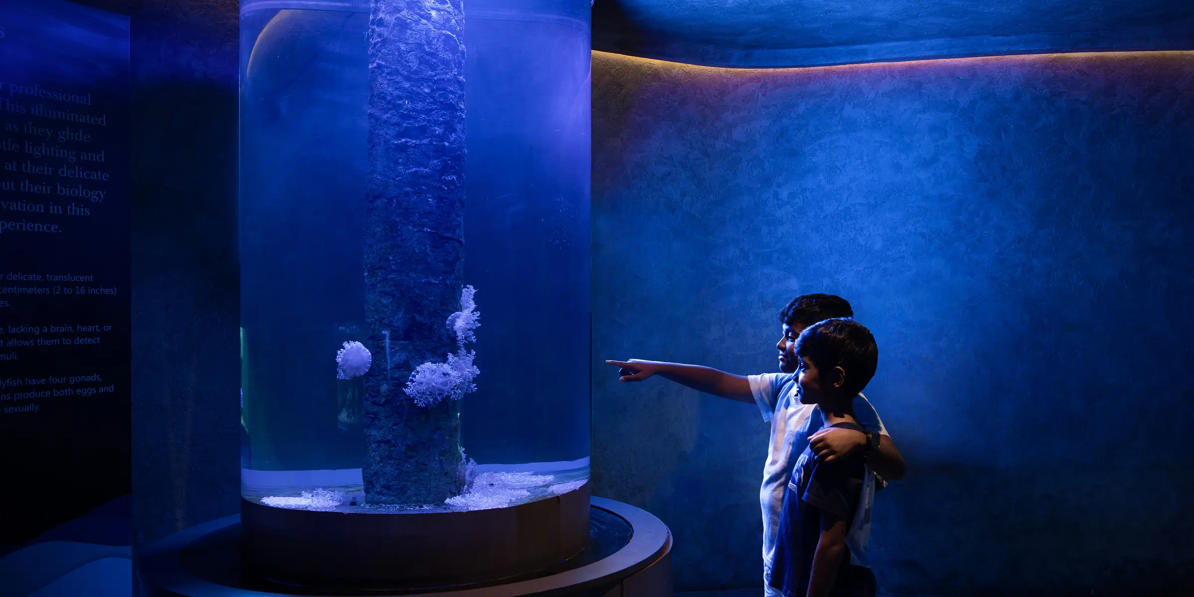 Children discovering a cylindrical aquarium exhibit